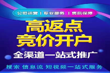 网络营销实战：案例分享竞价推广的秘诀